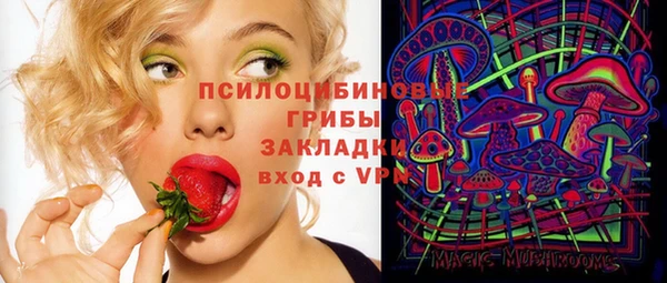 экстази Богданович