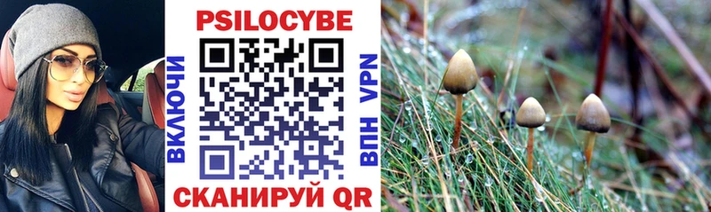 цены   Дмитриев  Галлюциногенные грибы MAGIC MUSHROOMS 